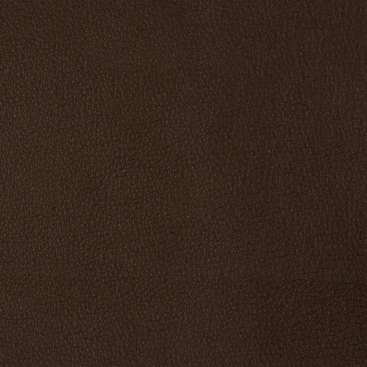 Kravet Smart-Newt-66