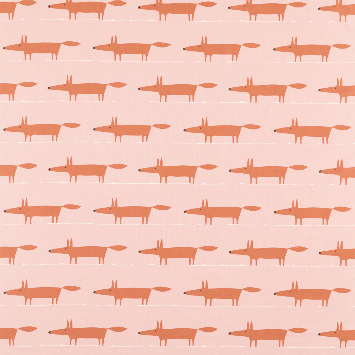 Midi Fox-Milkshake/Rose