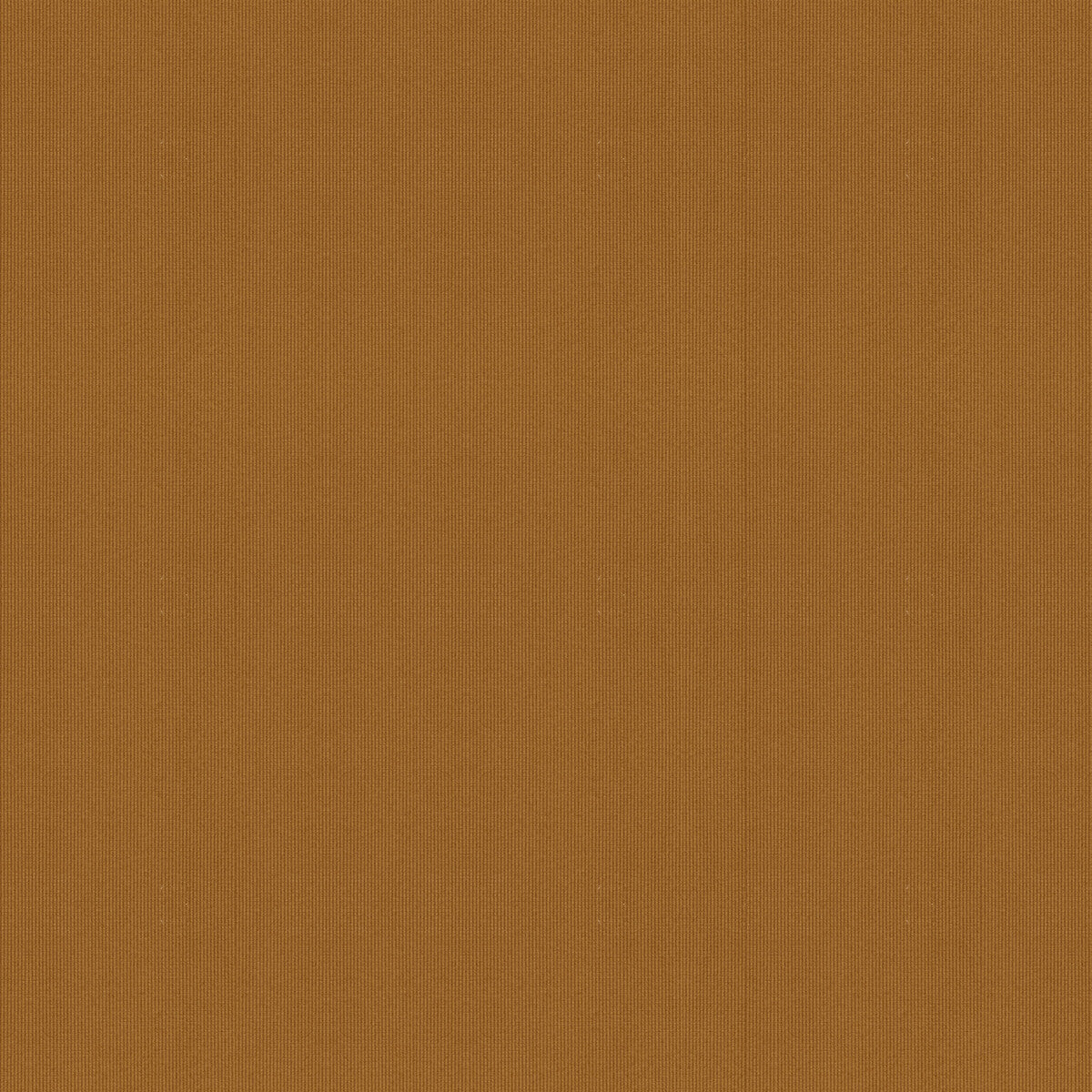 Nimble-Caramel