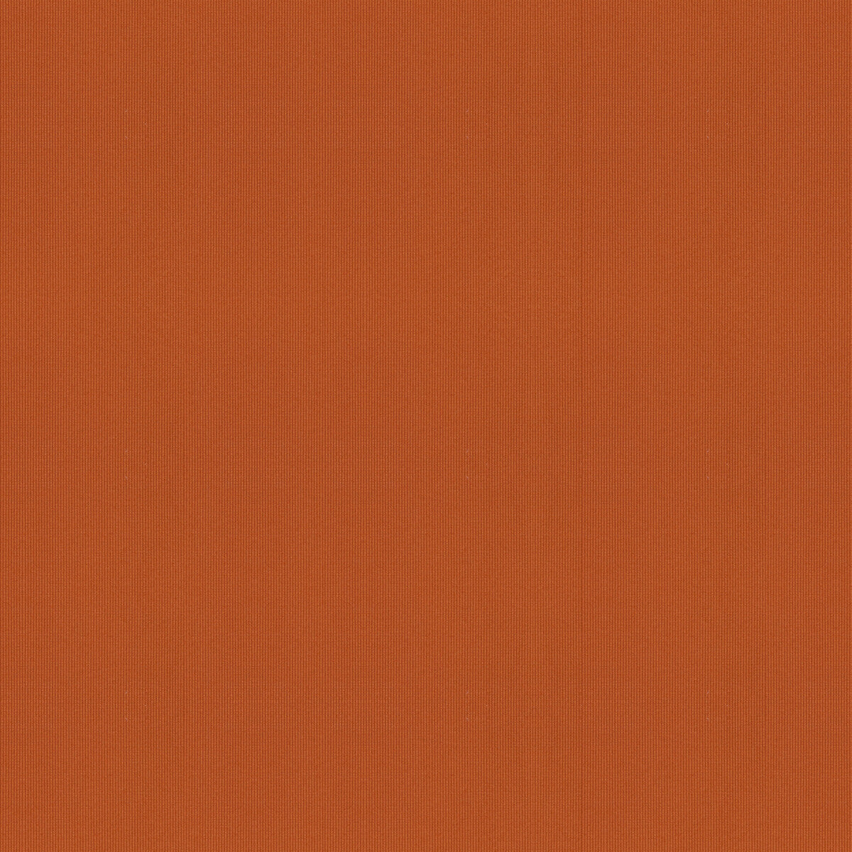 Nimble-Rust
