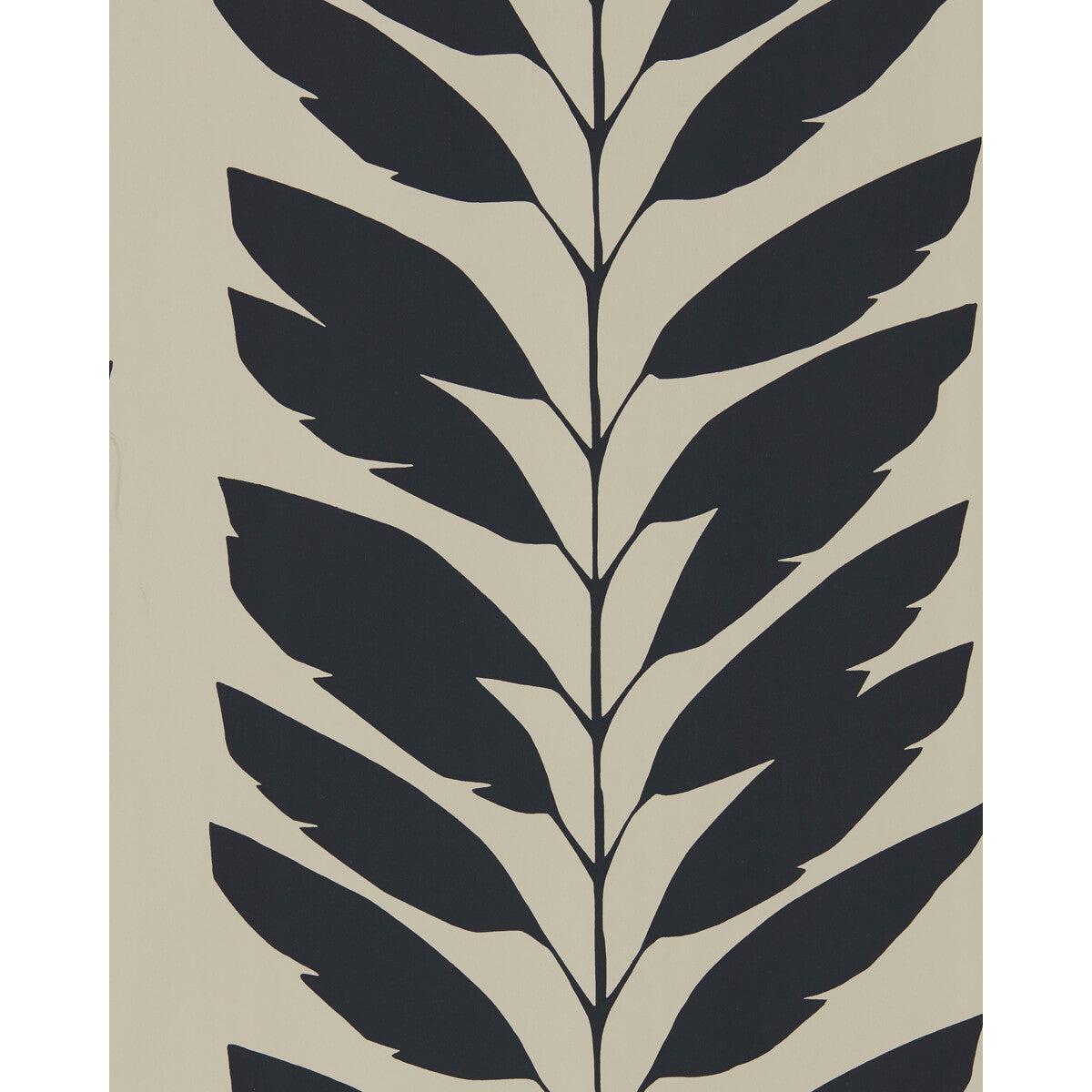 Malva-Liquorice