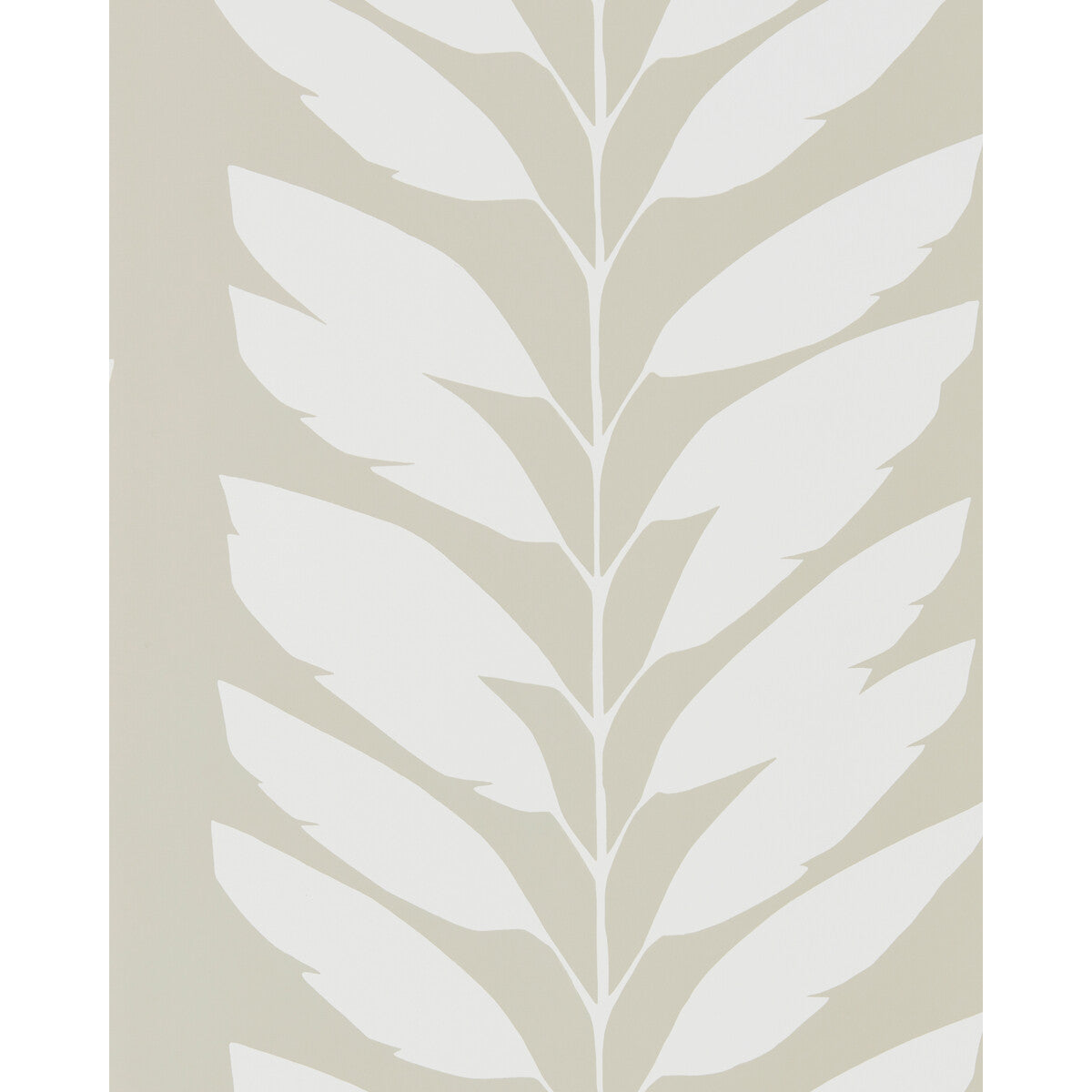 Malva-Parchment