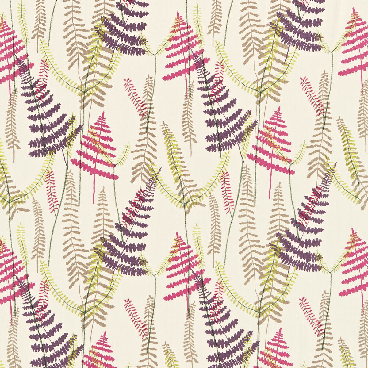 Athyrium-Plum/Fuchsia