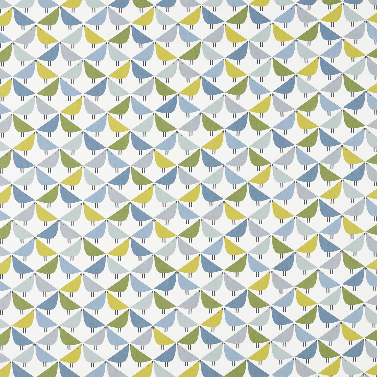 Lintu-Gecko/Pacific/Glazier