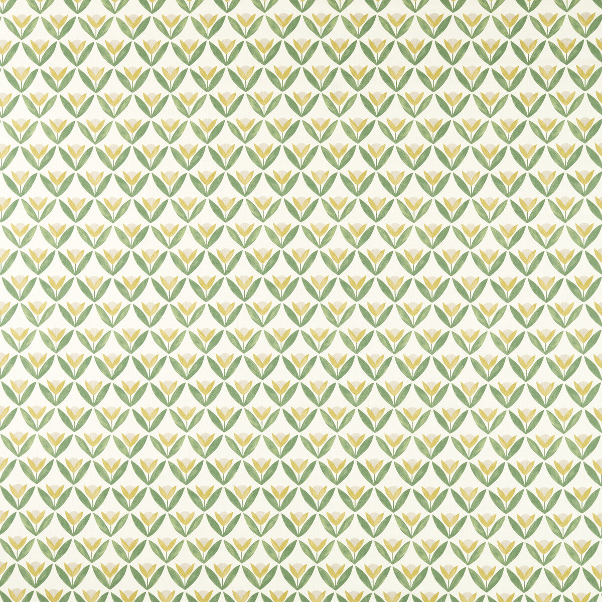 Tulip Trellis-Honey