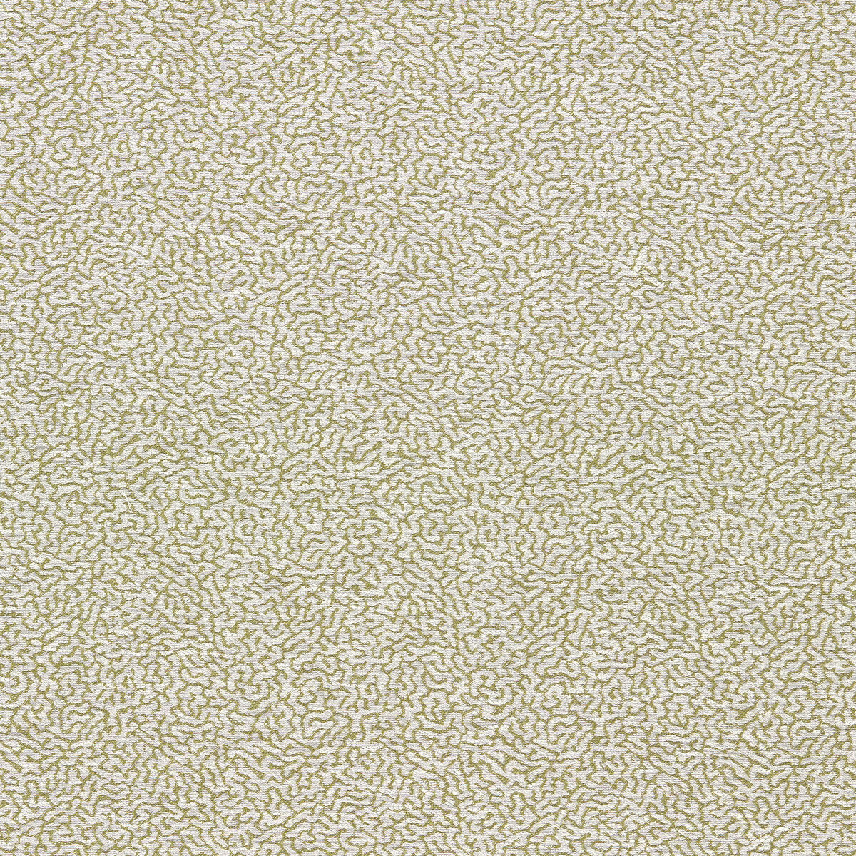 Duckweed-Lawn