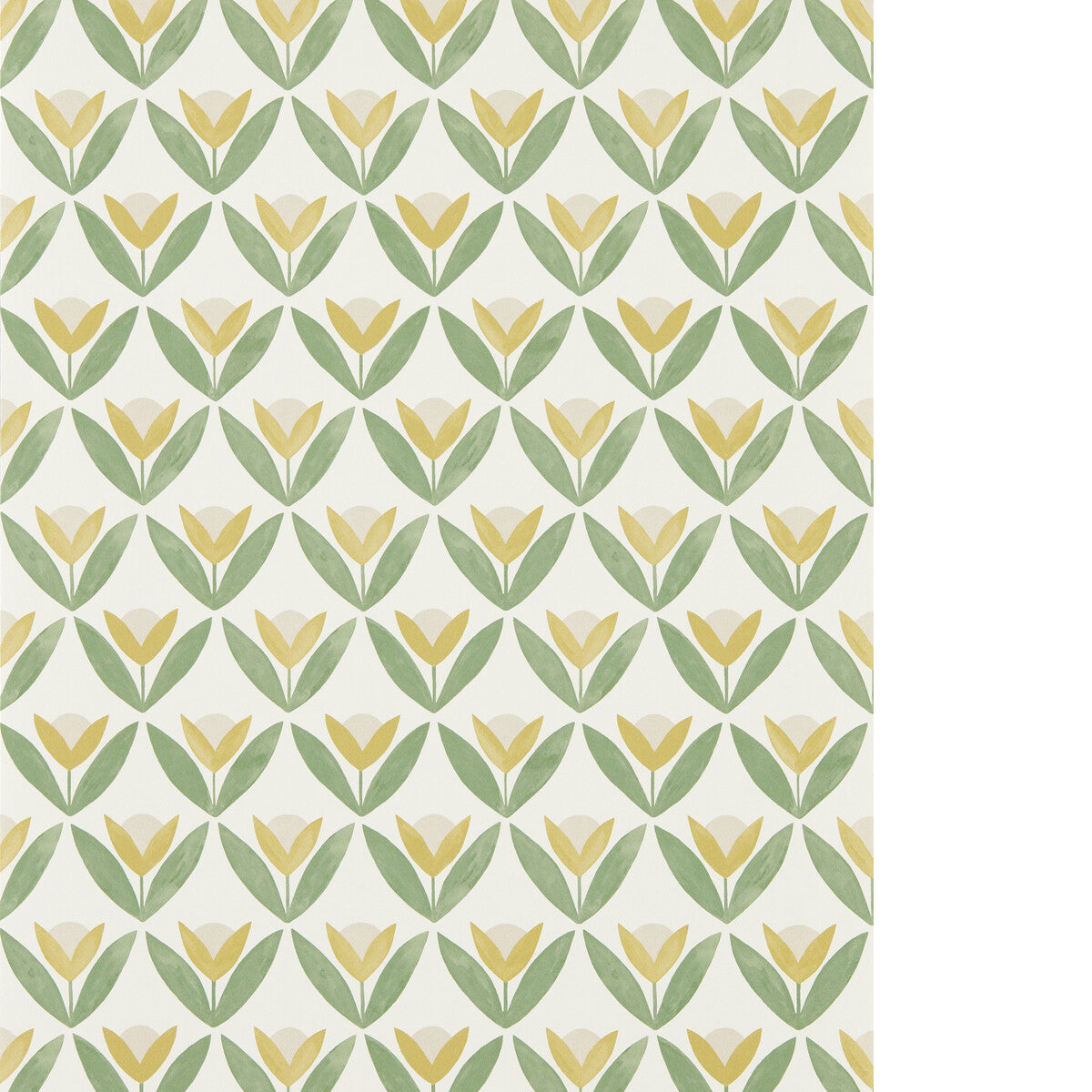 Tulip Trellis Wp-Honey