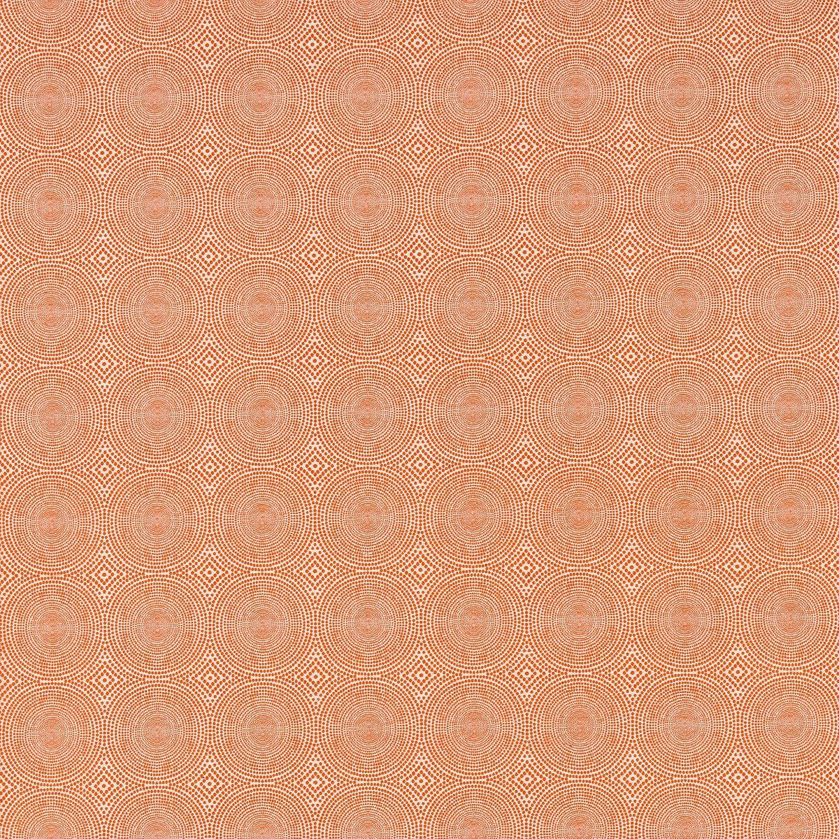 Kateri-Tangerine