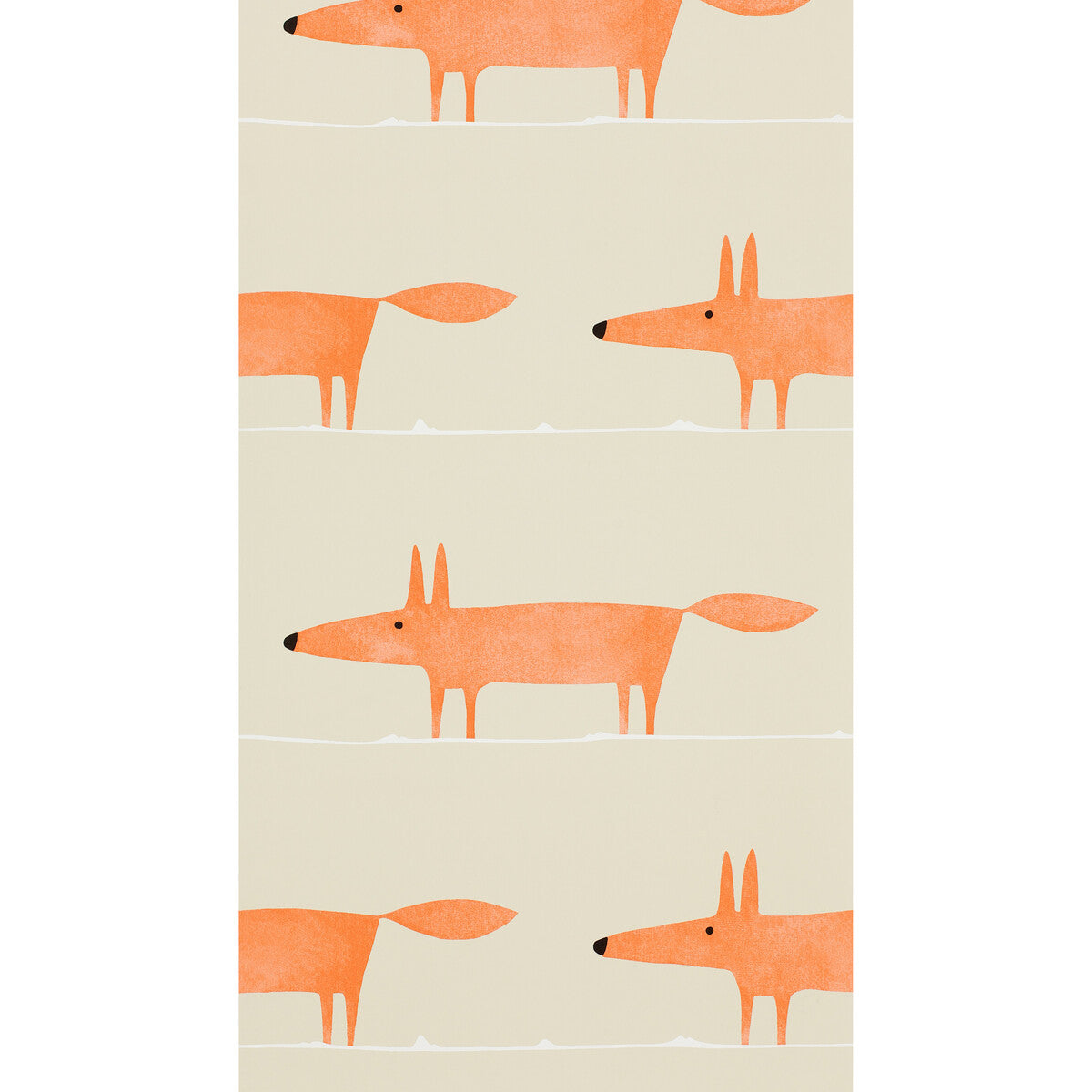 Mr Fox Wp-Ginger
