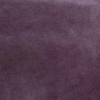 Nuhide-Plum