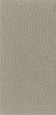 Nuostrich-Shiitake