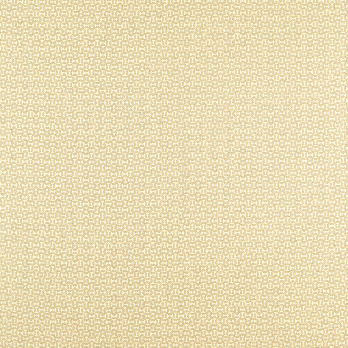 Forma-Raffia