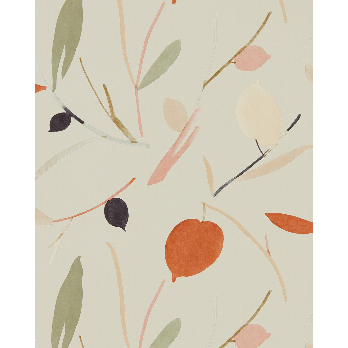 Oxalis Wp-Spice/Raffia