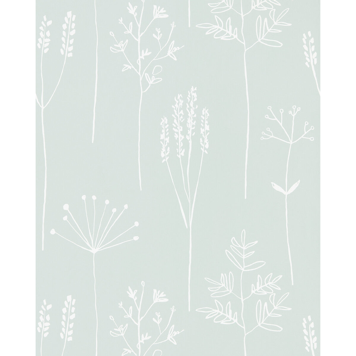 Stipa-Frost