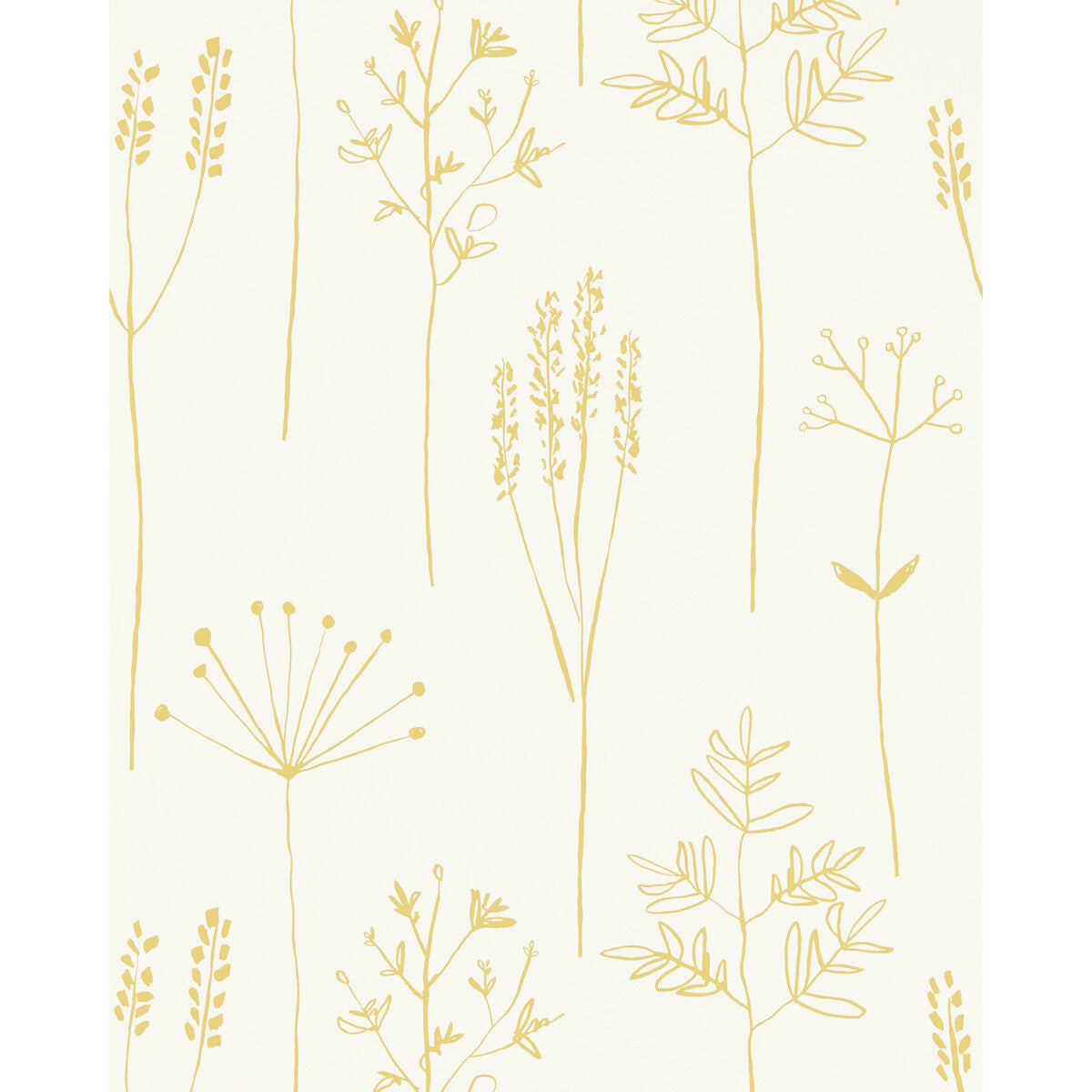 Stipa-Honey