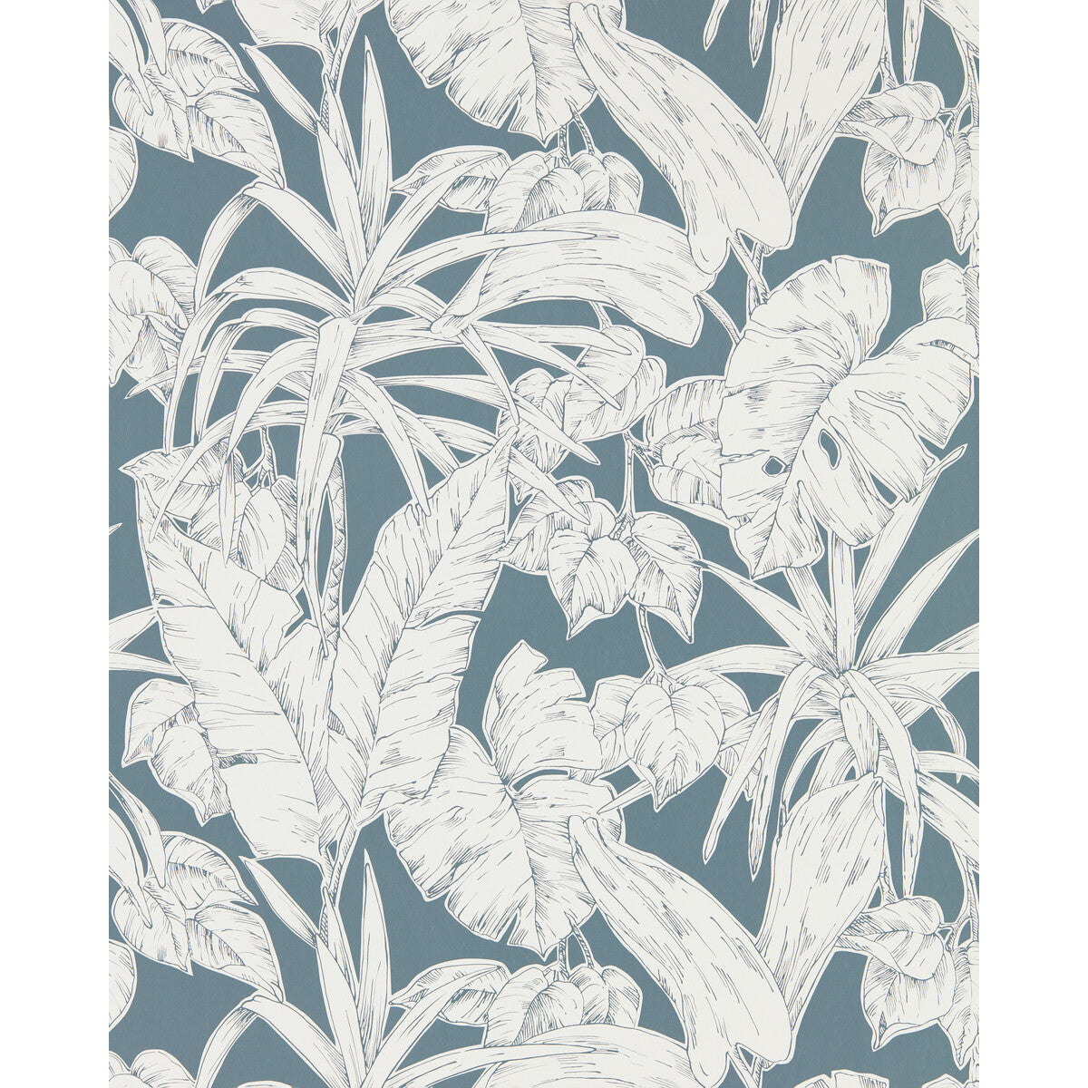 Parlour-Palm