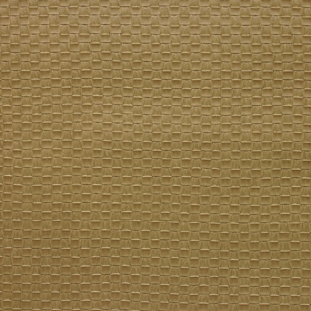 Kravet Design-Olia-16