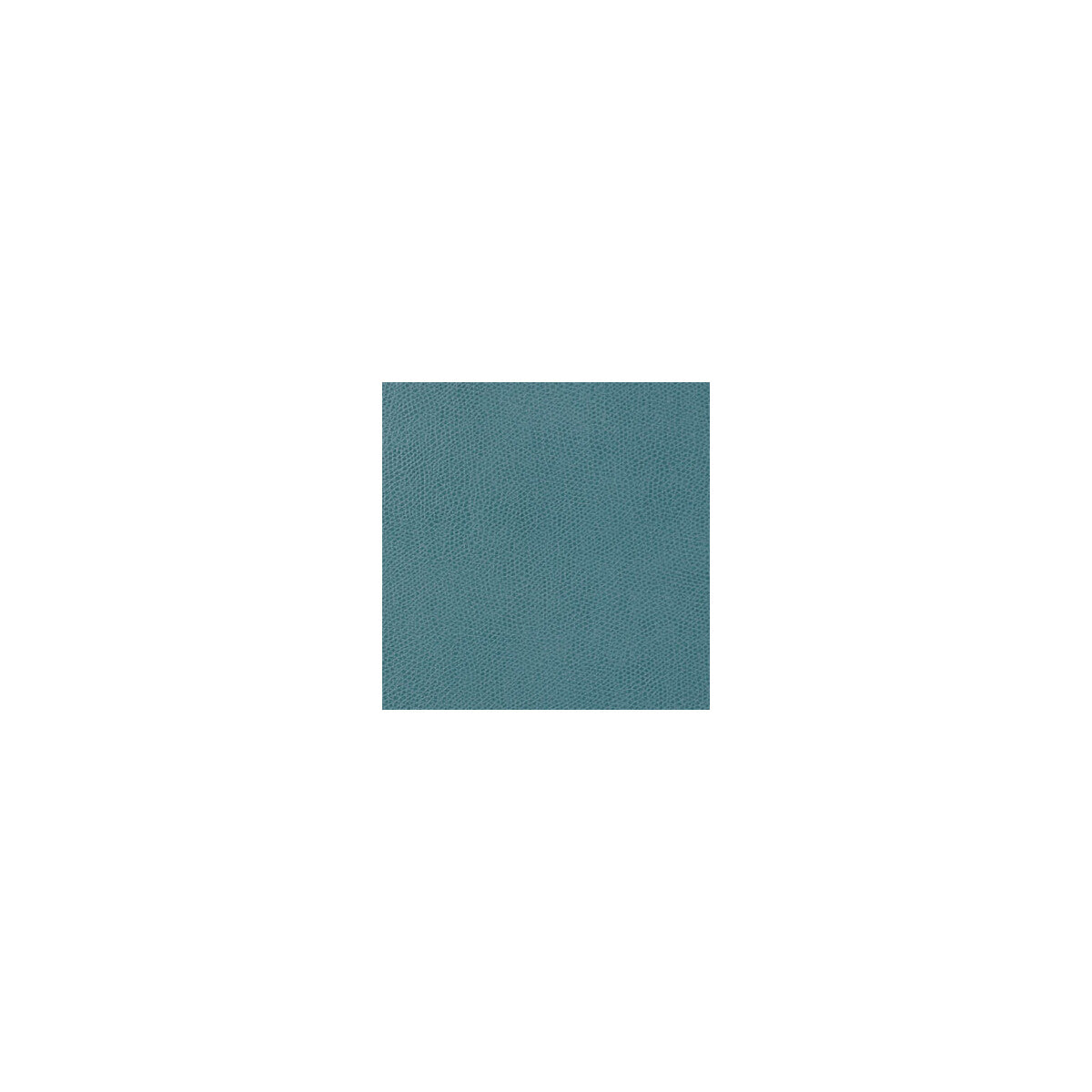 Ophidian-Pool