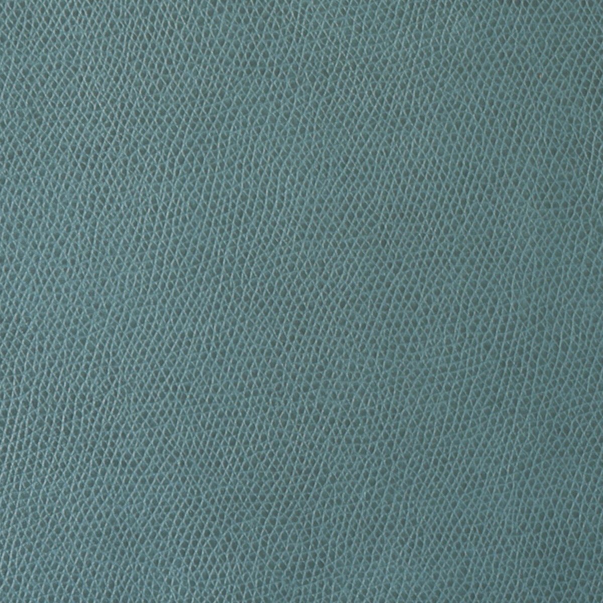 Ophidian-Patina