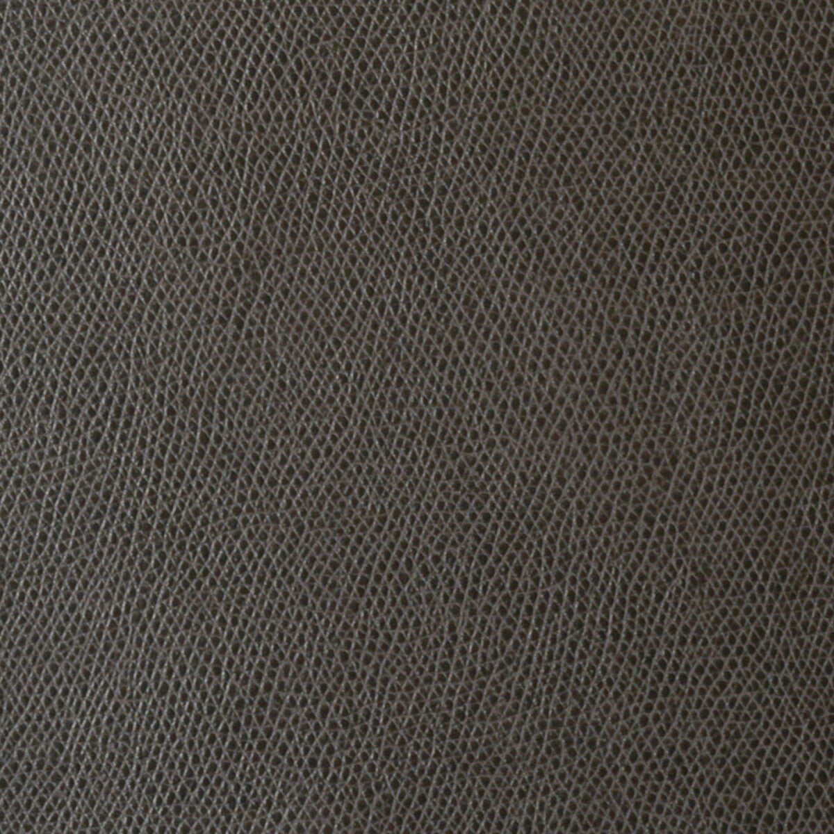 Ophidian-Charcoal