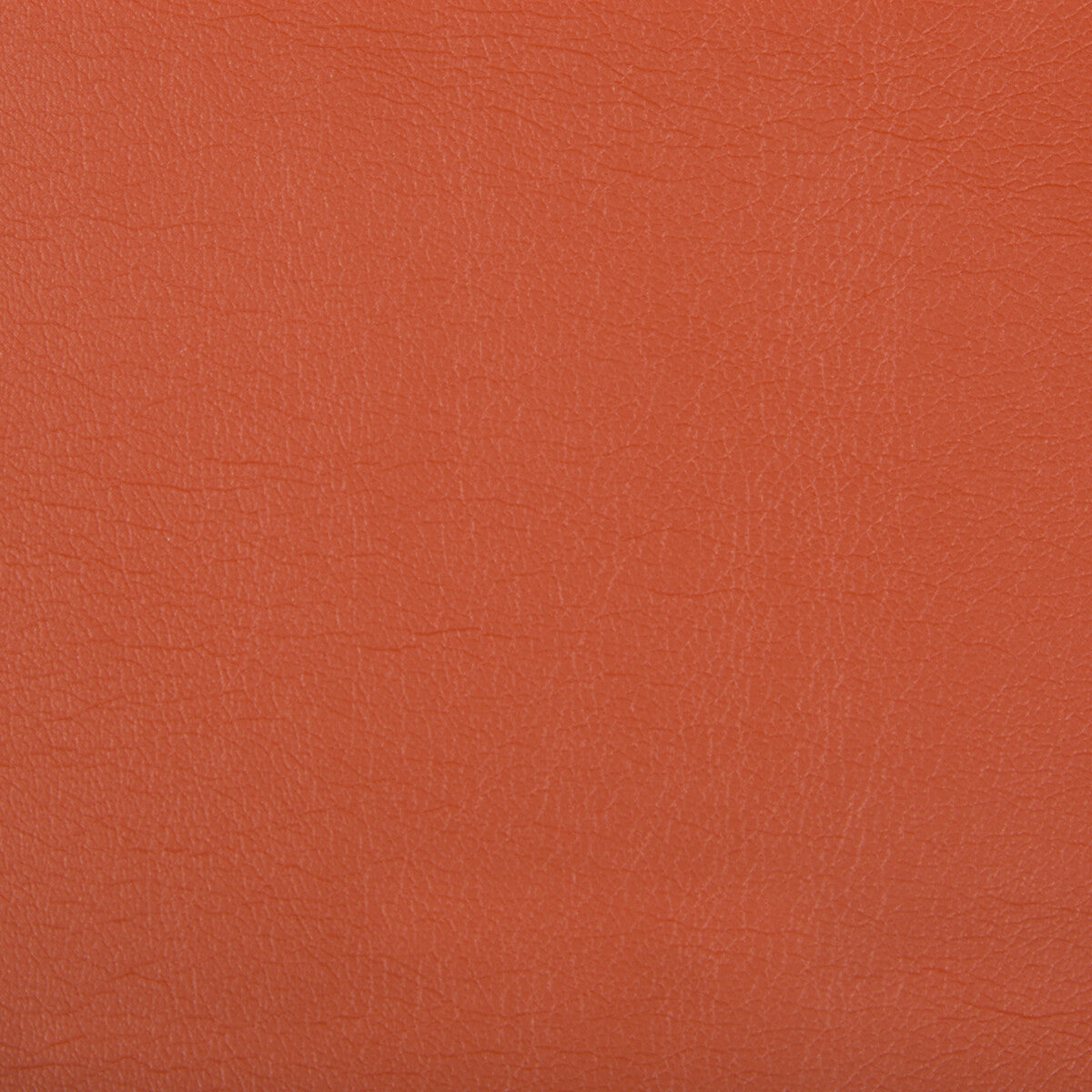 Optima-Nectarine