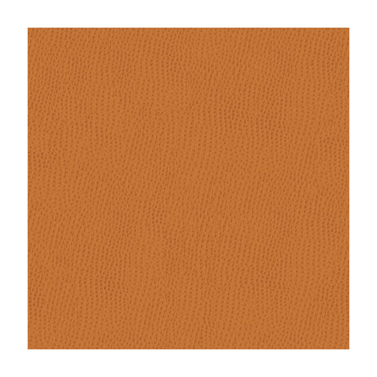 Kravet Smart-Ossy-212