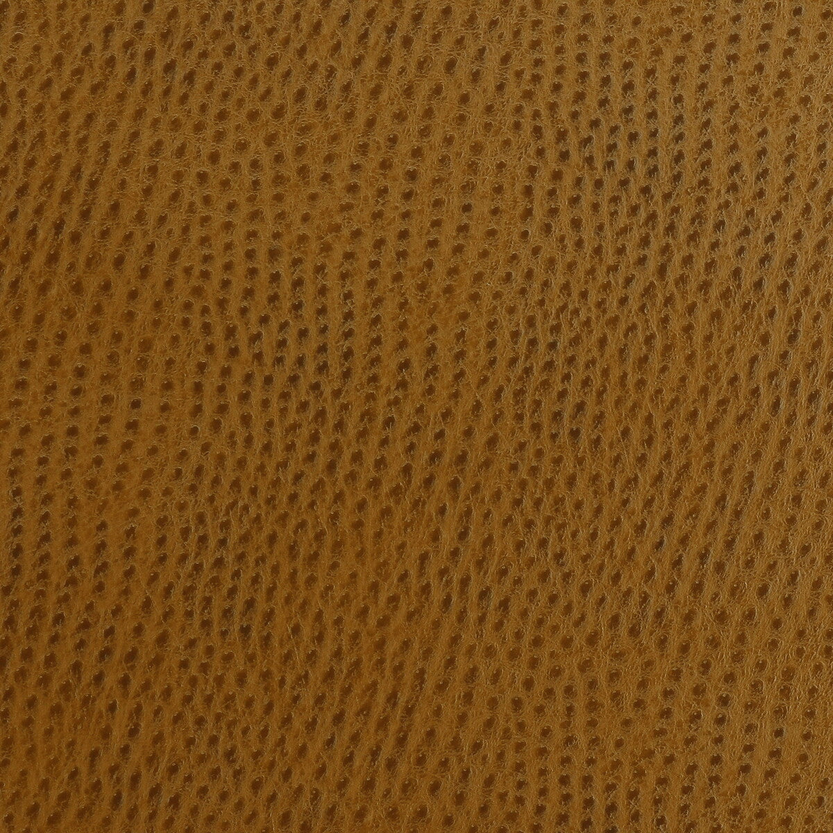 Kravet Design-Ossy-24
