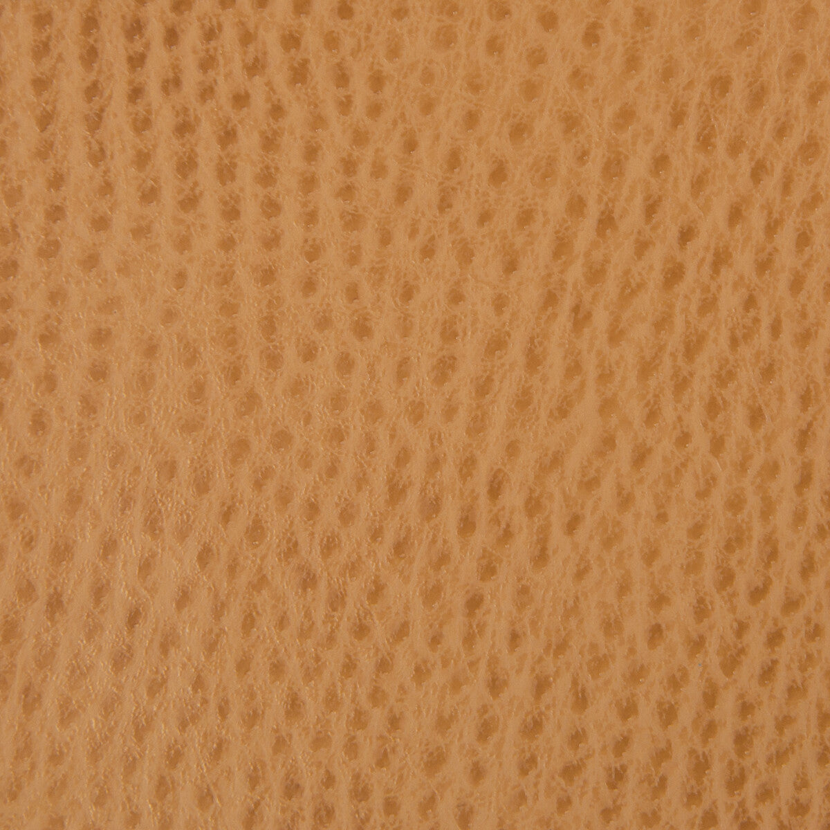Kravet Smart-Ossy-4