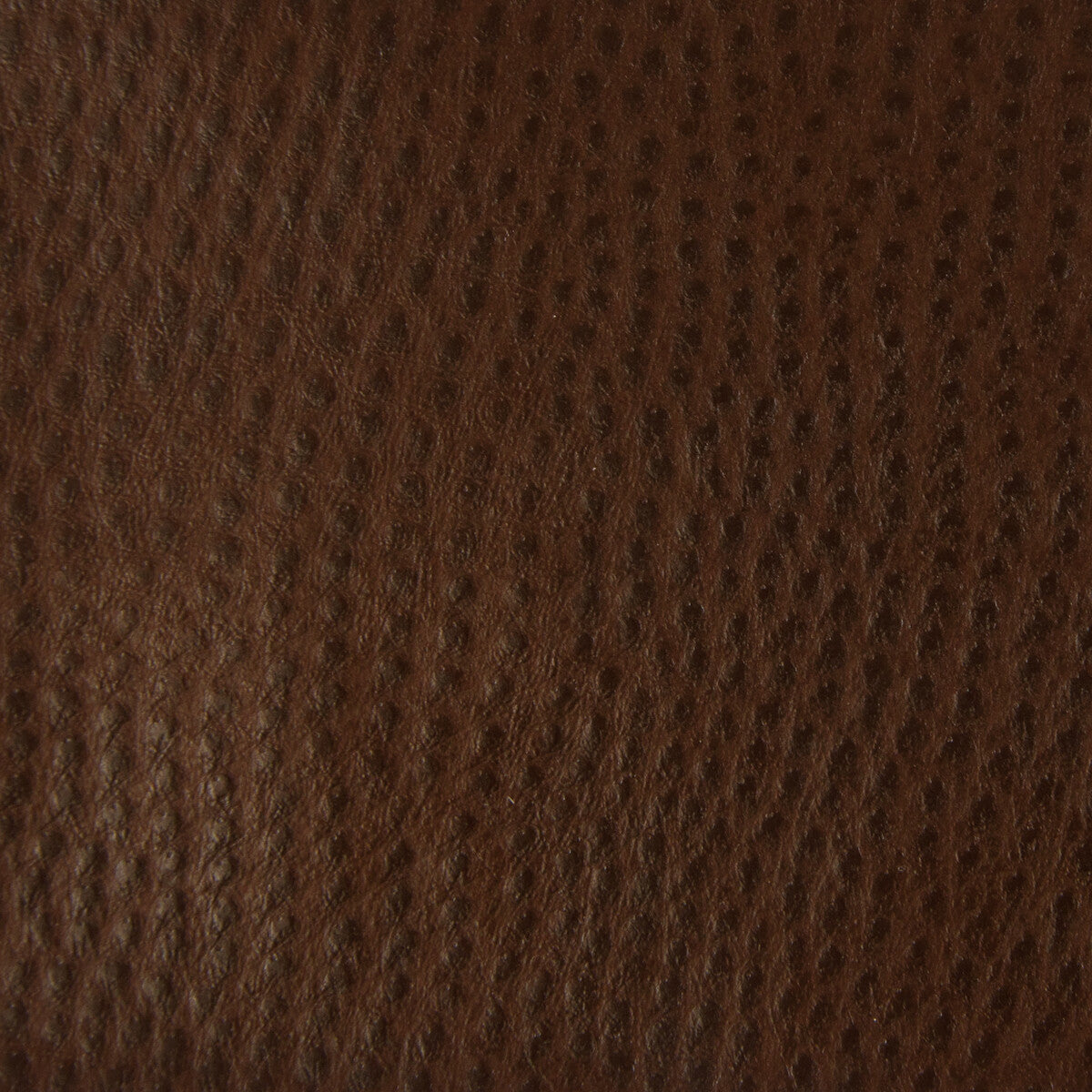 Kravet Smart-Ossy-6