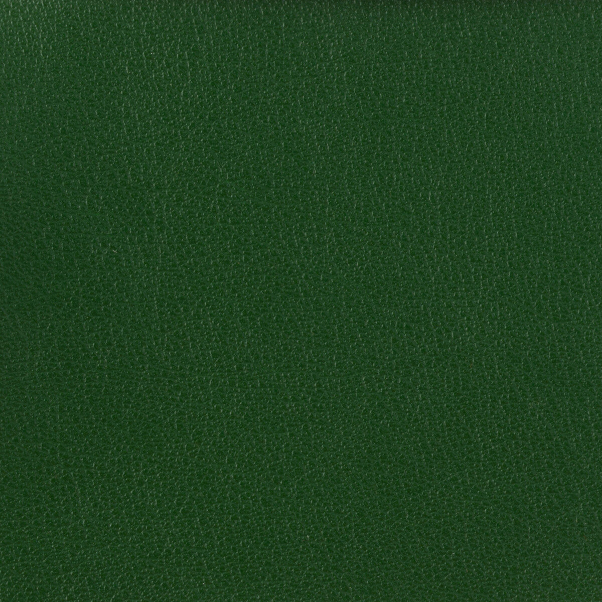 Kravet Basics-Otto-3