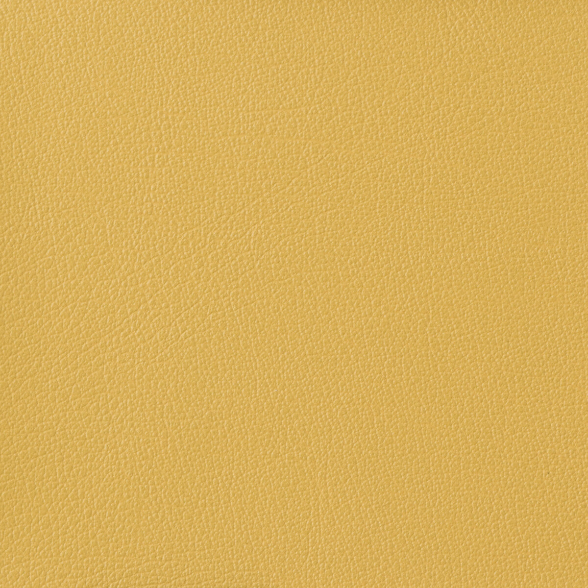 Kravet Basics-Otto-40