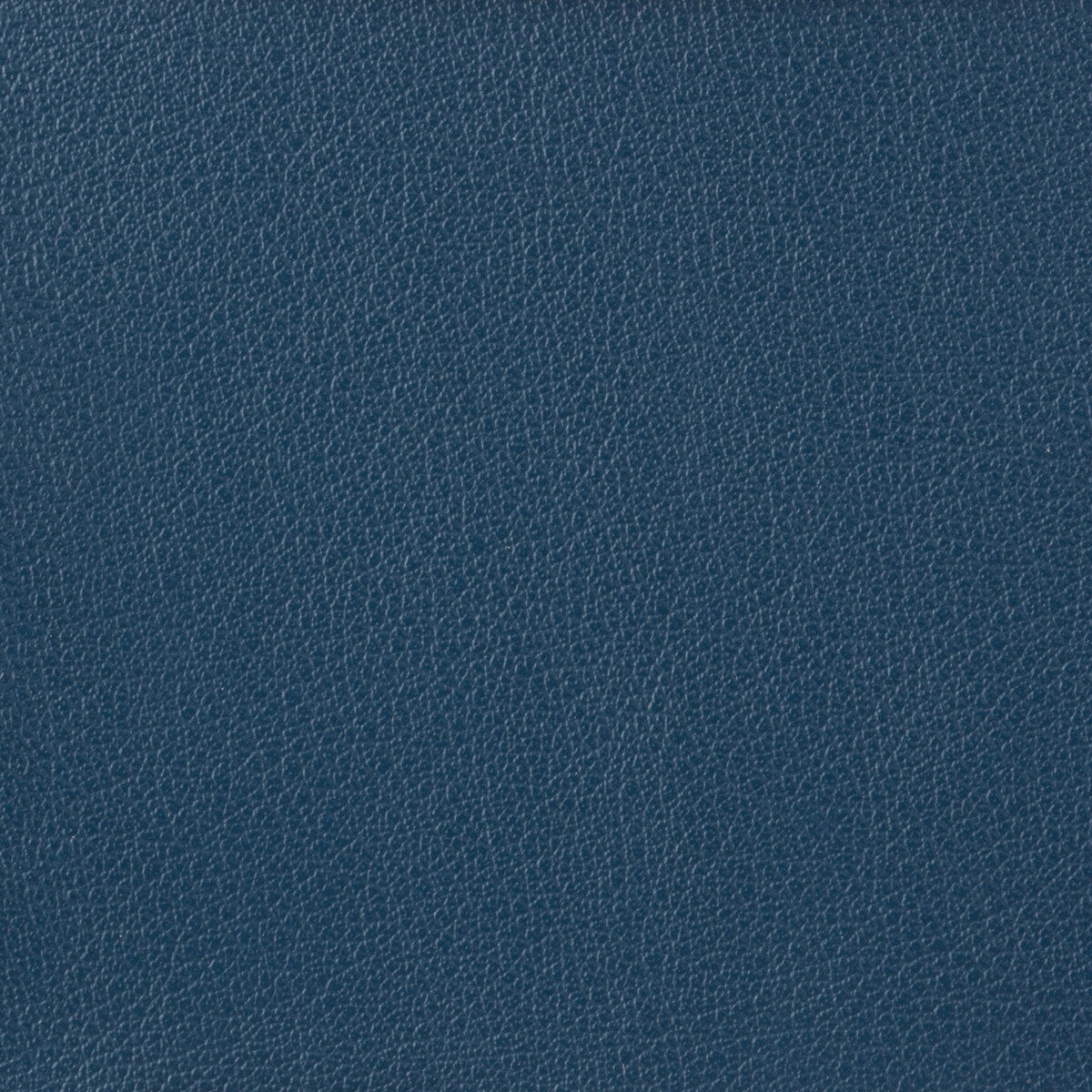 Kravet Basics-Otto-5