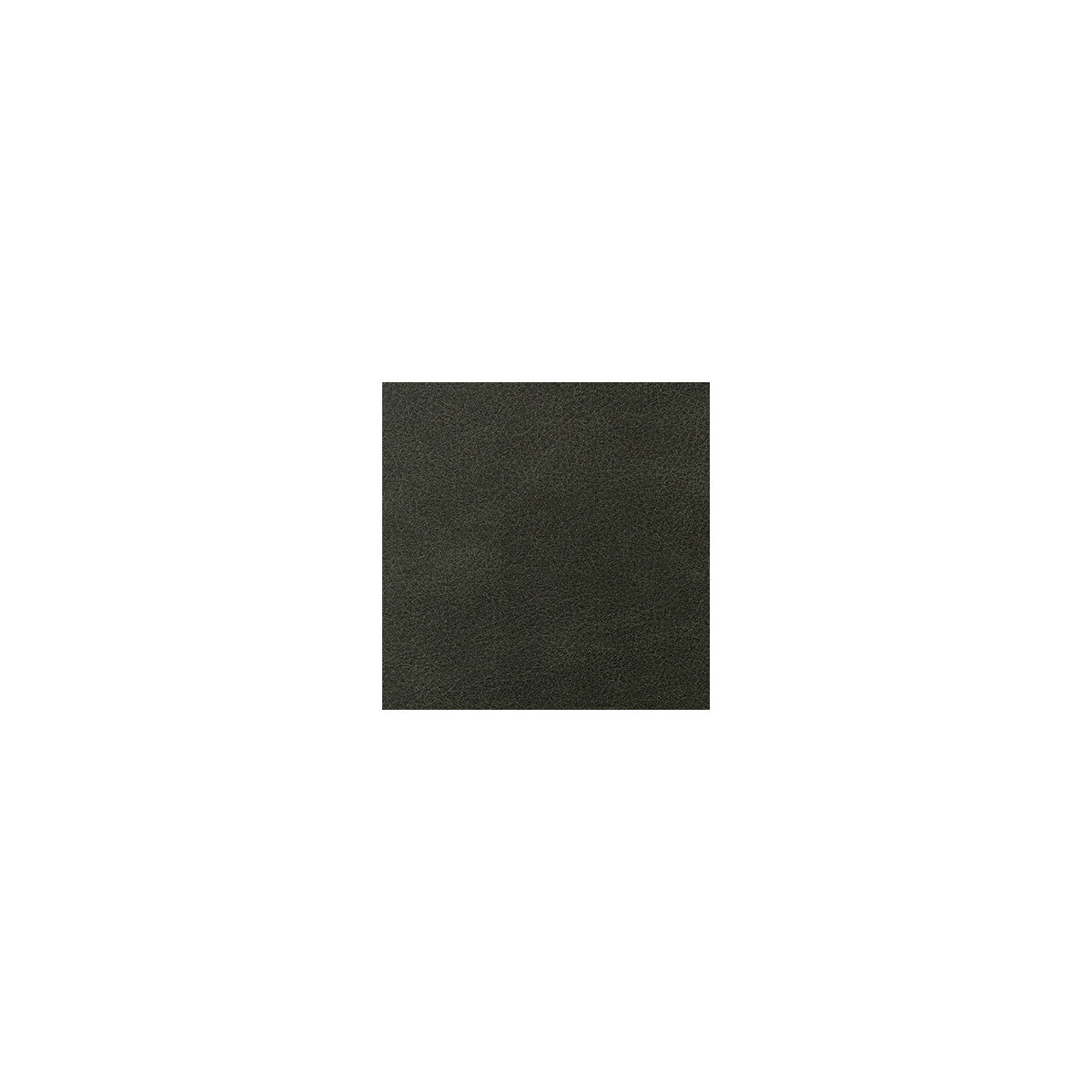 Overlook-Loden
