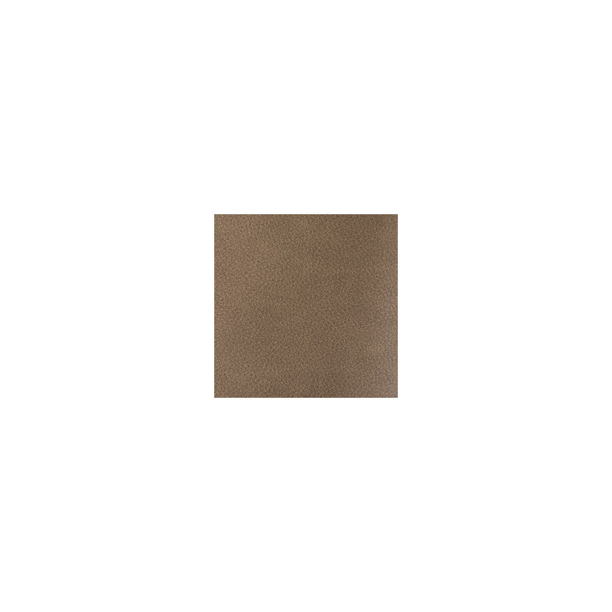 Overlook-Walnut
