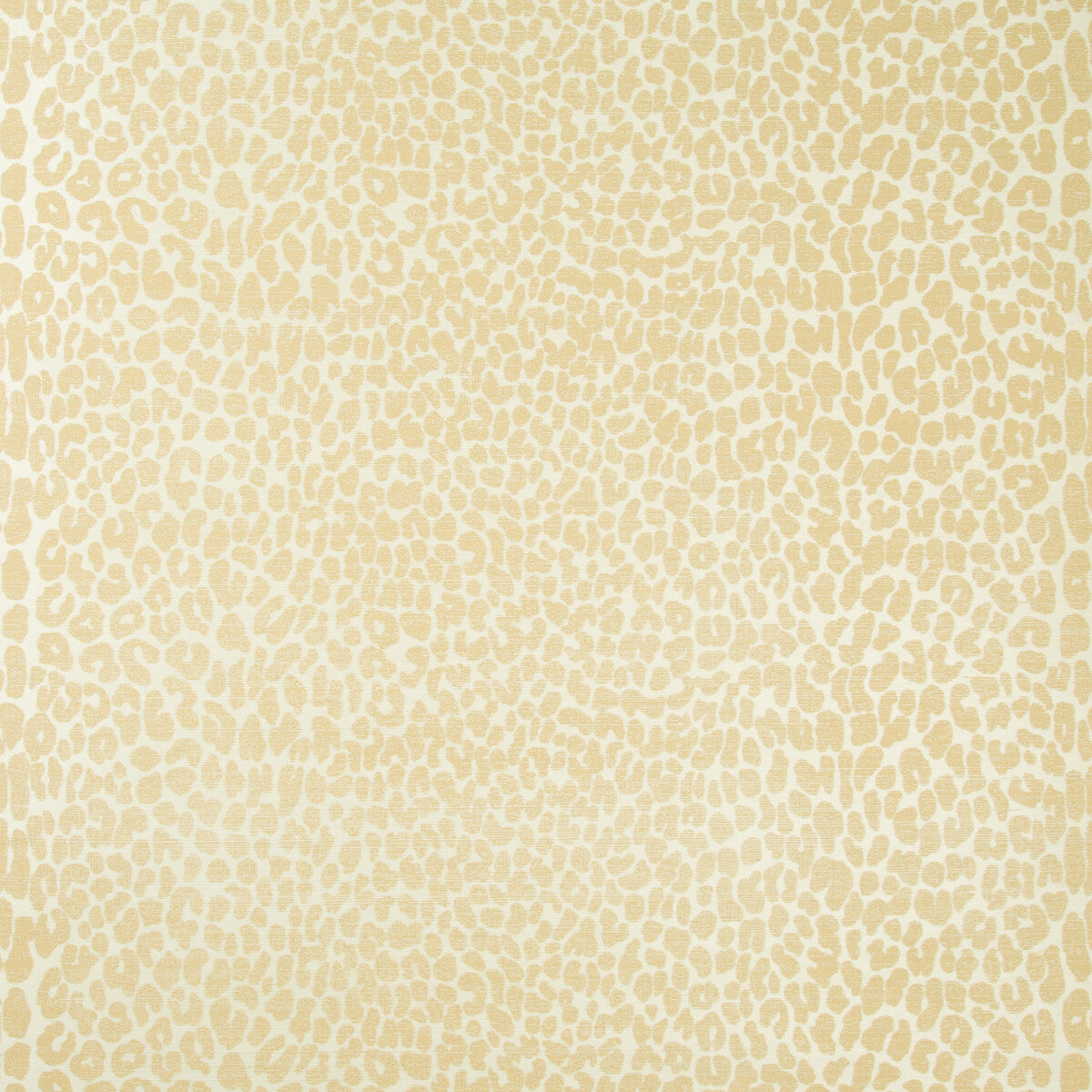 Ocicat Paper-Camel