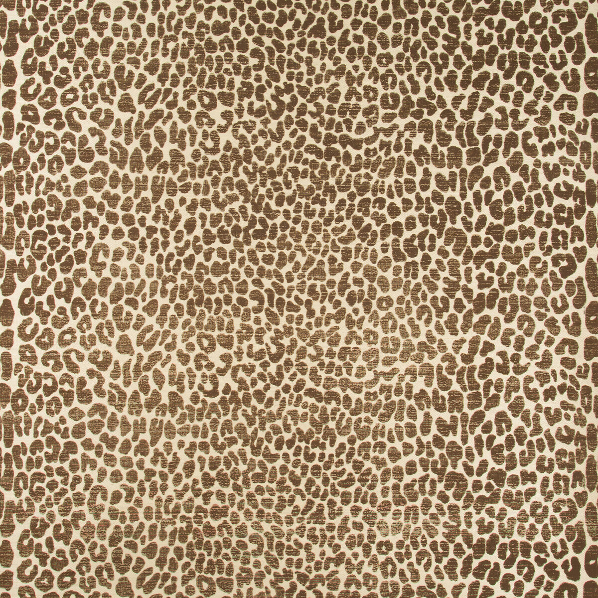 Ocicat Paper-Cocoa