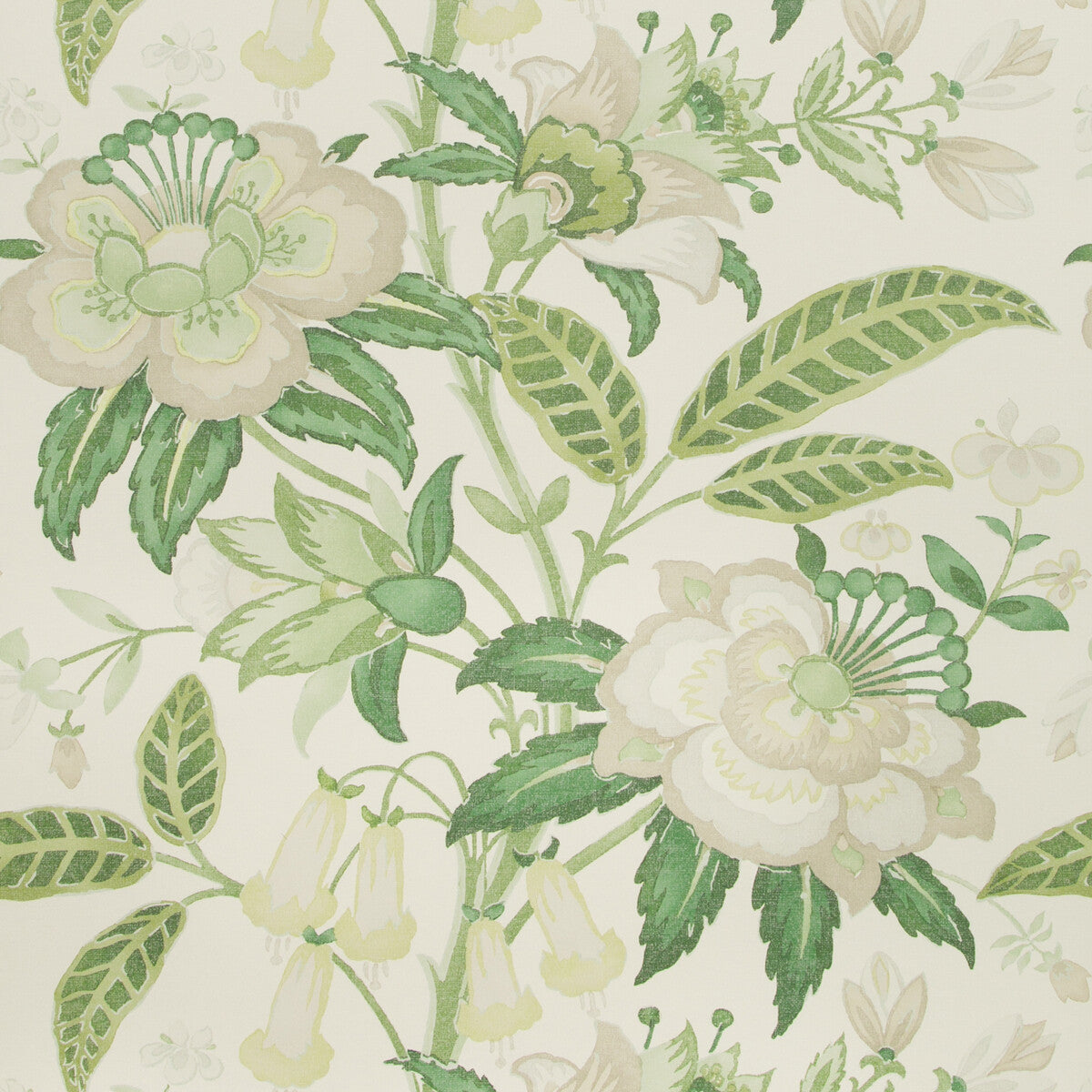 Davenport Paper-Greenery