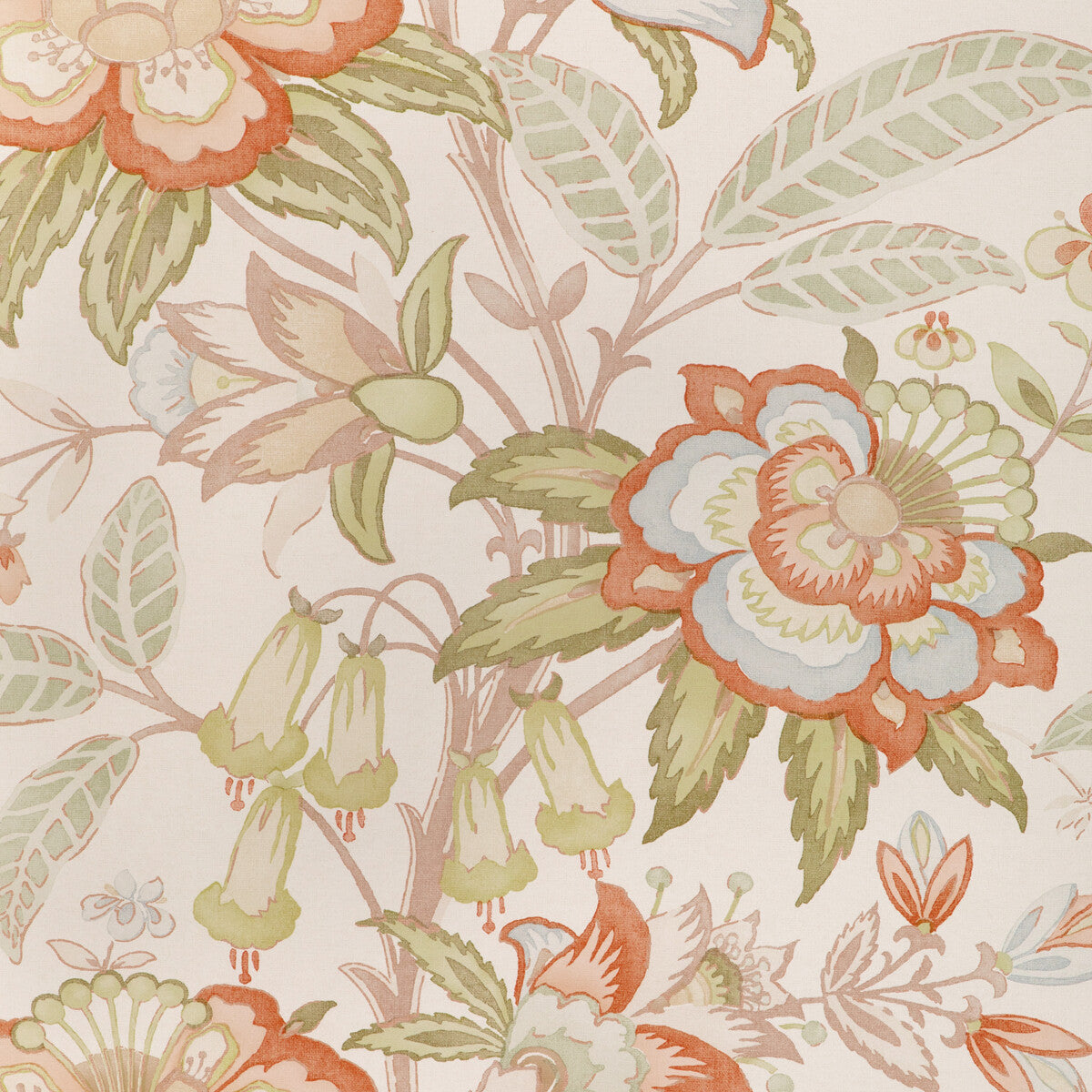 Davenport Paper-Coral