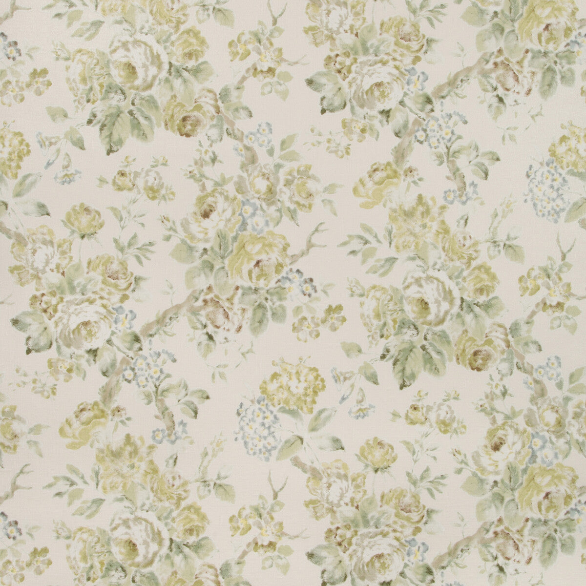 Garden Roses Wp-Lime/Leaf