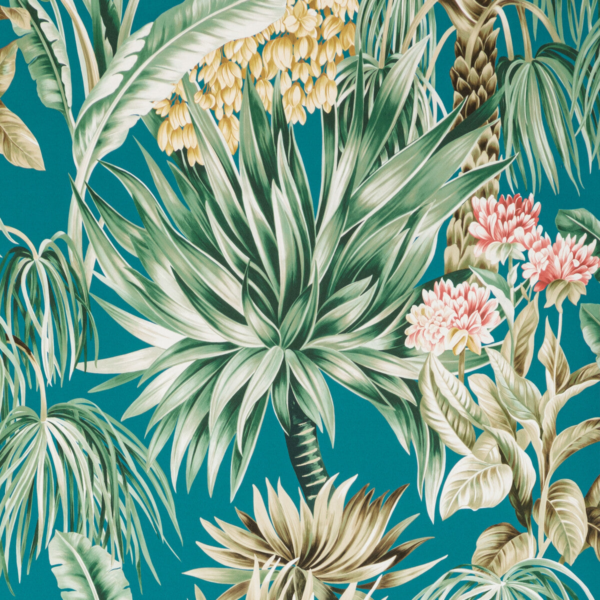 Caluya Paper-Lagoon