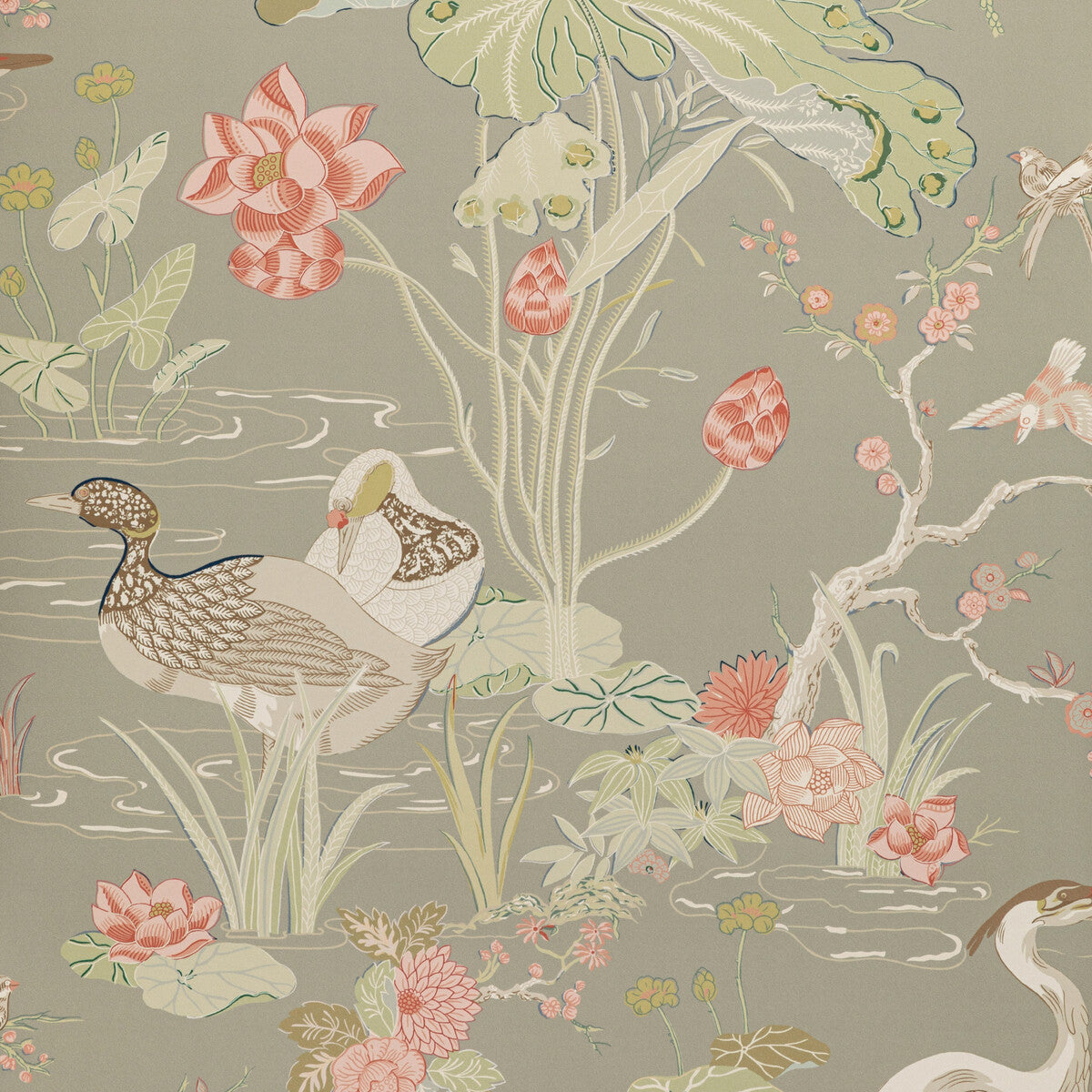 Luzon Paper-Fawn