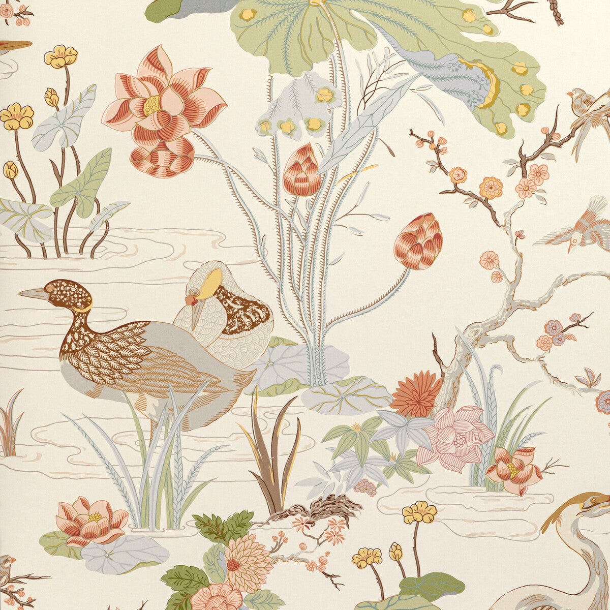 Luzon Paper-Apricot