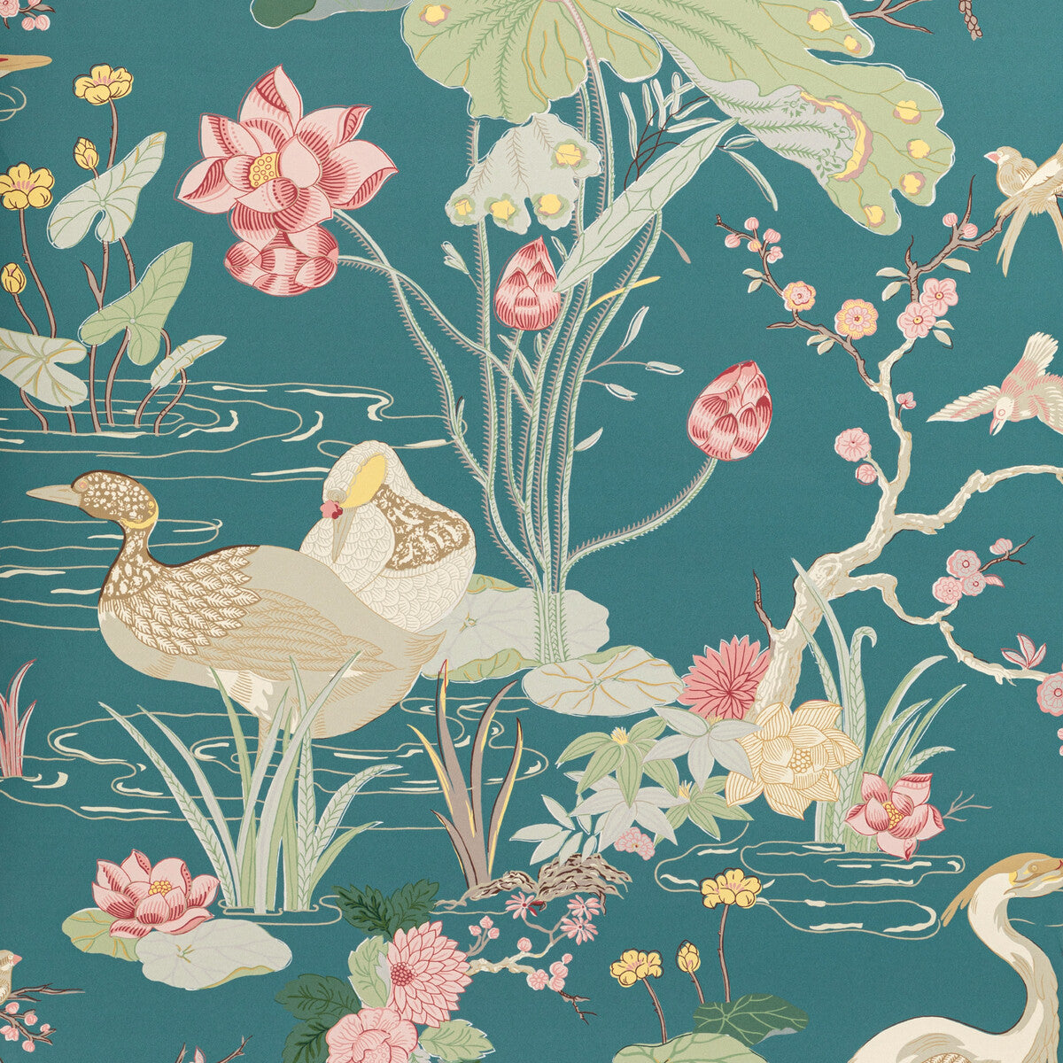 Luzon Paper-Lagoon