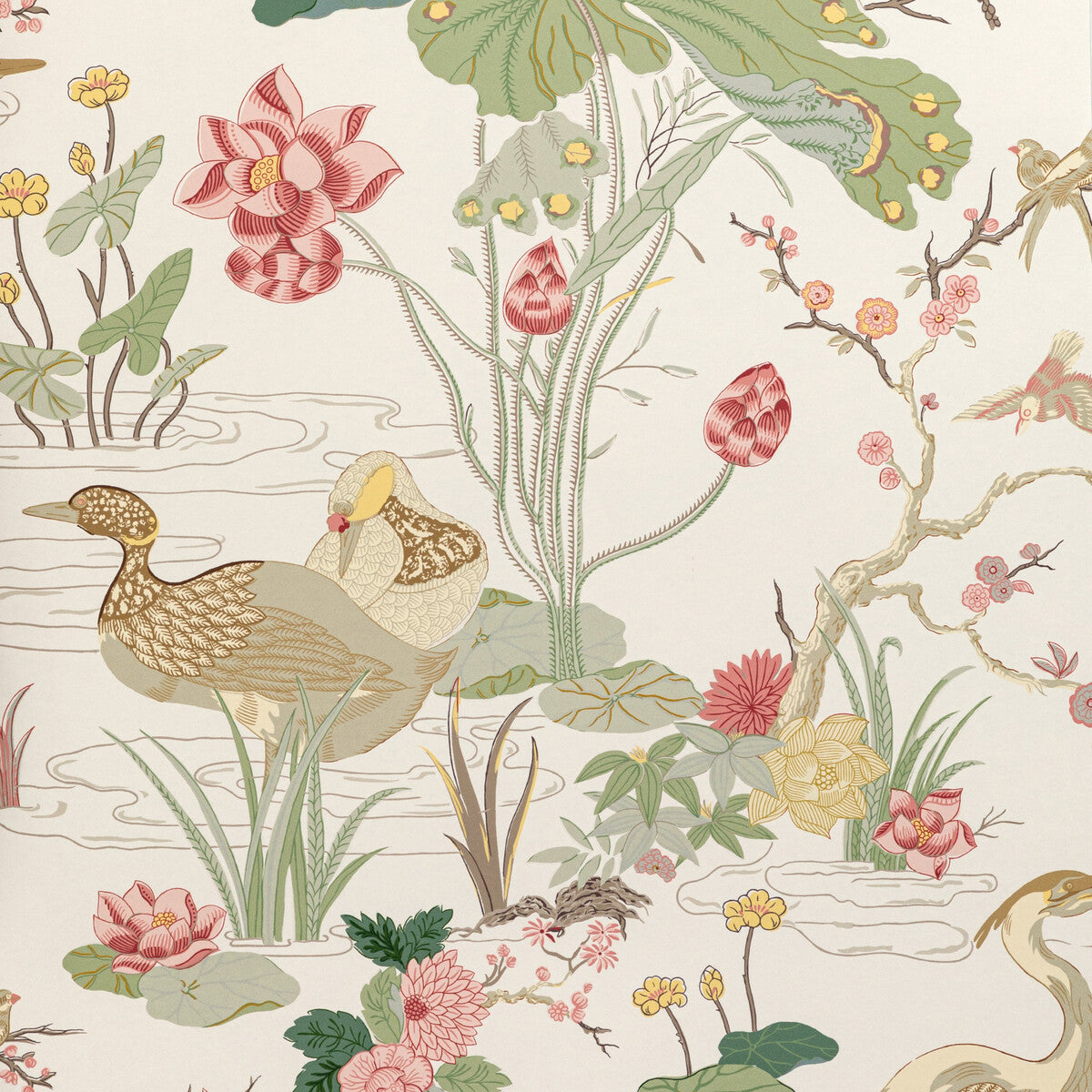 Luzon Paper-Spring