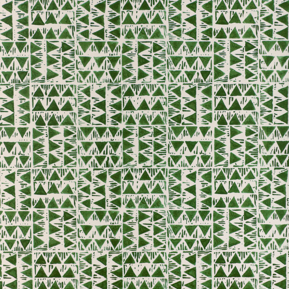 Yampa Paper-Fern