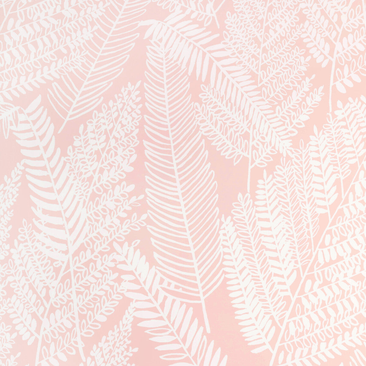 Carrick Paper-Petal