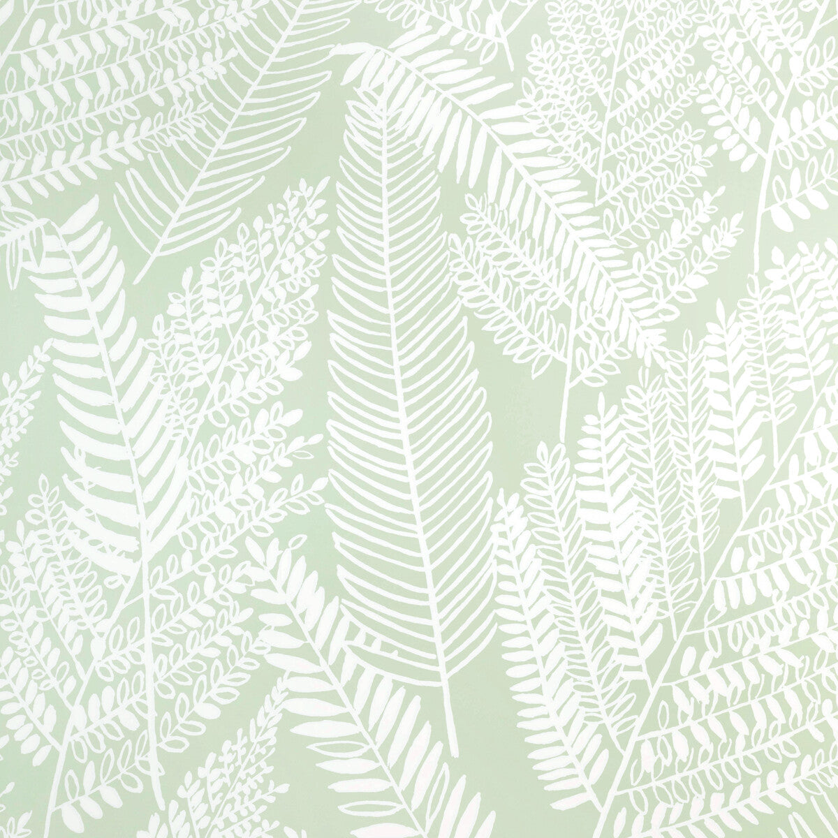 Carrick Paper-Sage