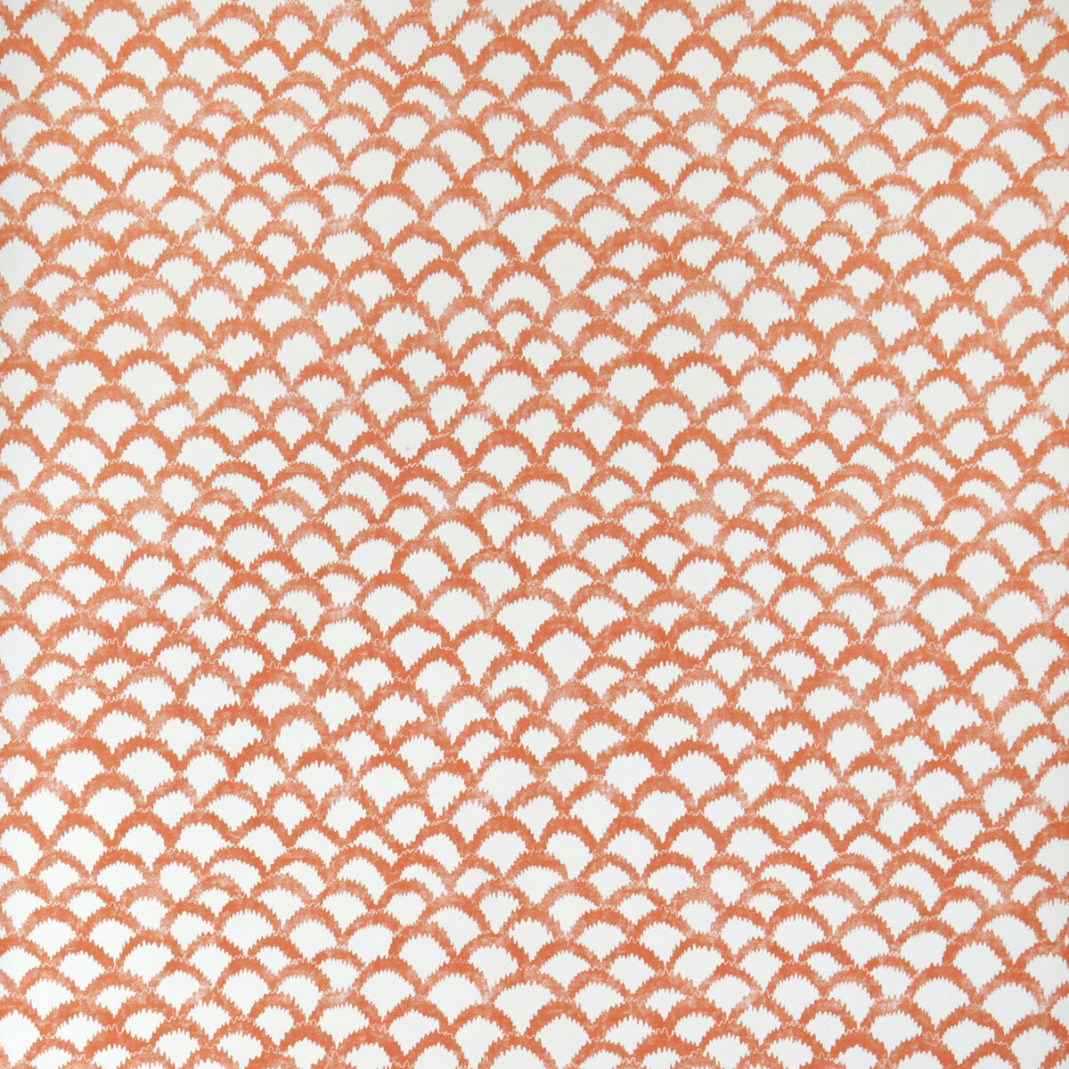Roche Wp-Orange