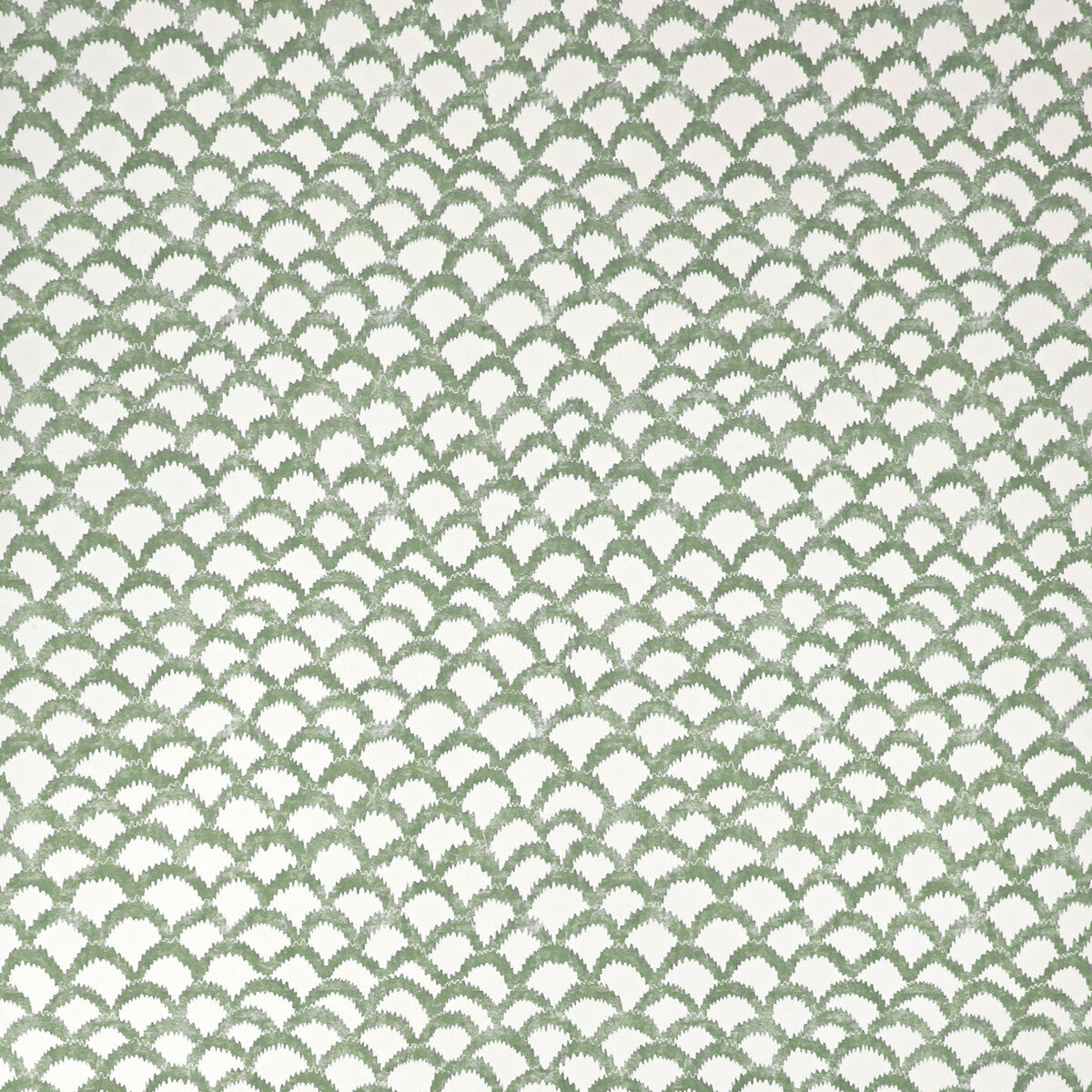 Roche Wp-Green