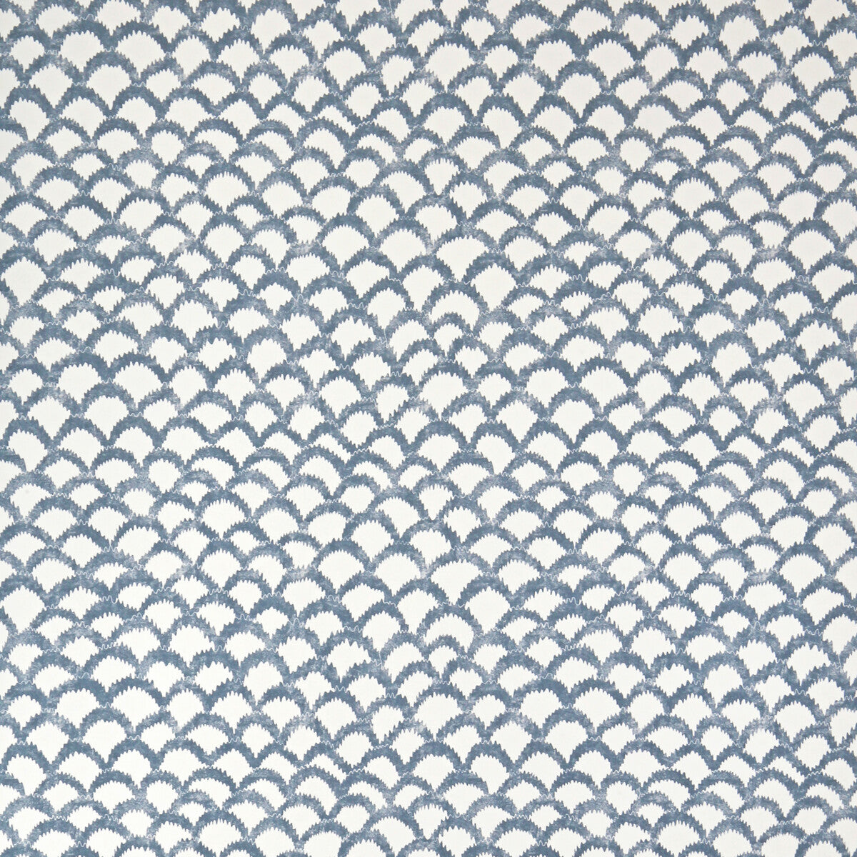 Roche Wp-Blue